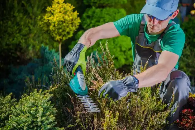 landscaping services Beatrice